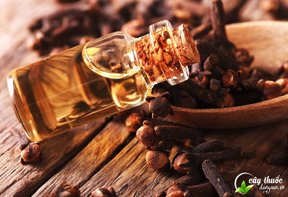 Tác dụng của nụ đinh hương